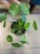 pilea mojito (15).jpg