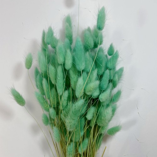 Dmuszek jajowaty (Lagurus) – 60 cm Miętowy (9).jpg
