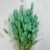 Dmuszek jajowaty (Lagurus) – 60 cm Miętowy (9).jpg