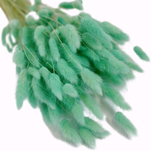 Dmuszek jajowaty (Lagurus) – 60 cm Miętowy (12).jpg
