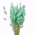 Dmuszek jajowaty (Lagurus) – 60 cm Miętowy (4).jpg