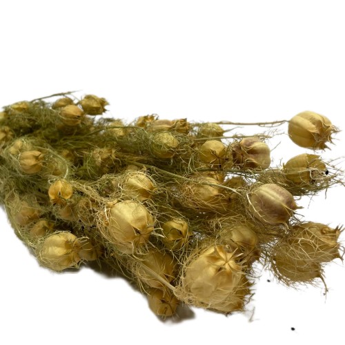Czarnuszka Suszona (Nigella Damascena) - Naturalna (2).jpg