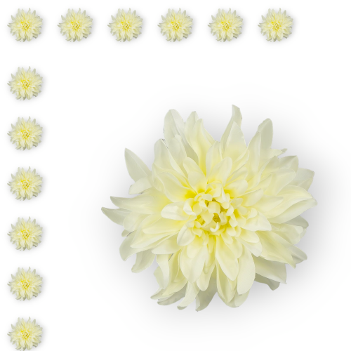 W149-71-01-1_12szt.png