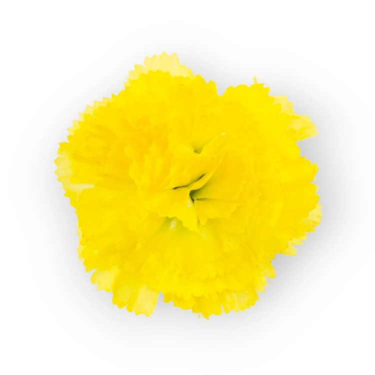 W110-85-01.png
