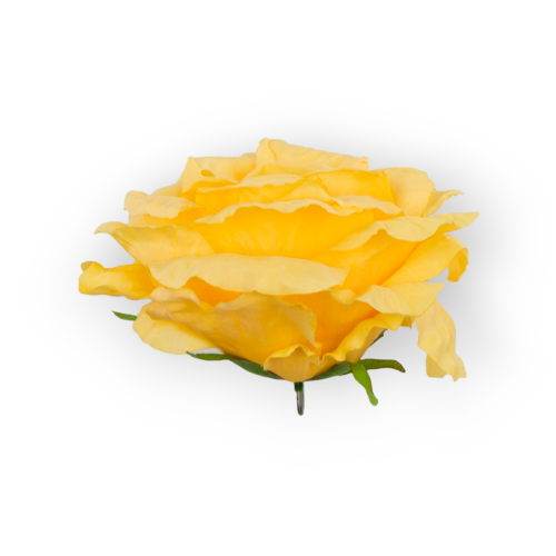 B10-02-02-3.png