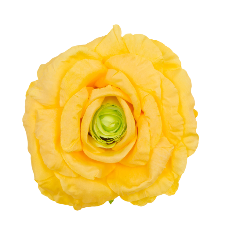 B10-02-01-Photoroom.png