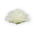 B10-30-02-3.png
