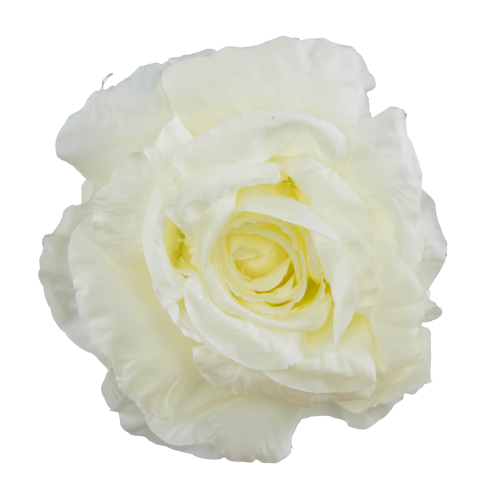B10-30-01-Photoroom.png