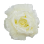 B10-30-01-Photoroom.png