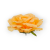 B10-39-02-3.png