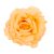 B10-39-01-Photoroom.png