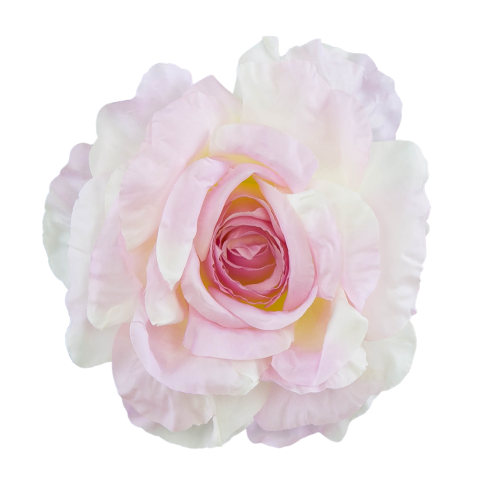 B10-25-01-Photoroom.png