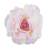B10-25-01-Photoroom.png