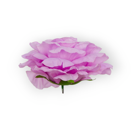 B10-20-02-3.png
