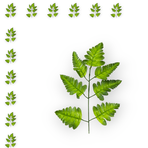 S183-01-02-1_12szt.png