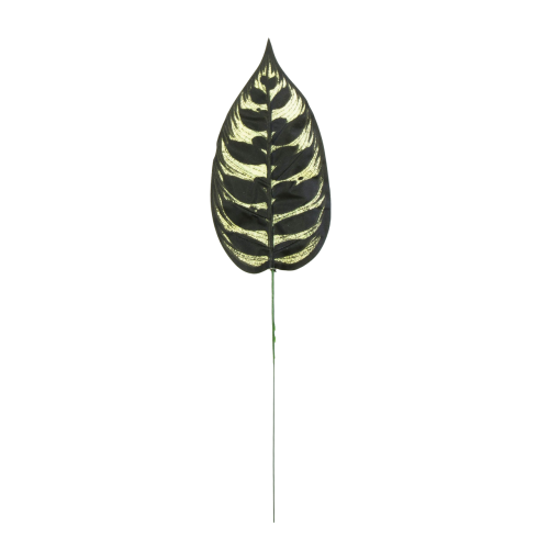 S317-01-01-scaled-Photoroom.png