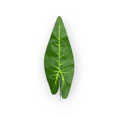 S671-01-02-scaled-1(1).png