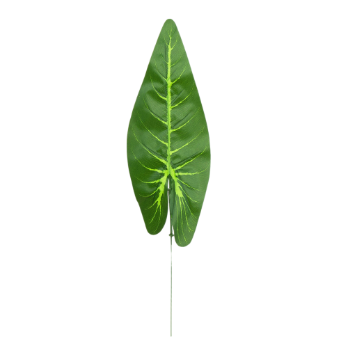 S671-01-01-Photoroom (1).png
