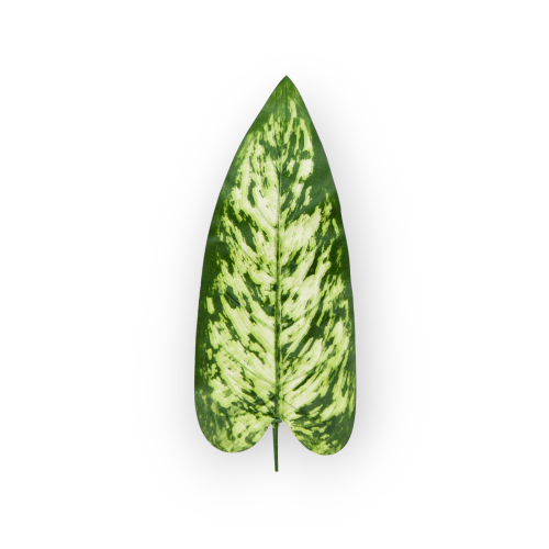 S679-01-02-scaled-1.png