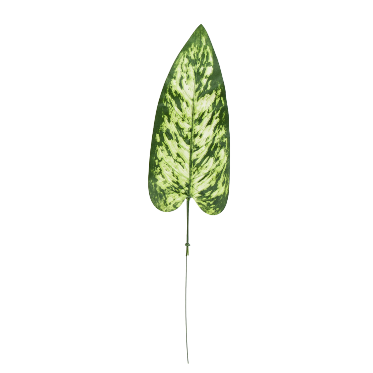S679-01-01-Photoroom.png