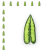 S680-01-02-scaled-1(1)_12szt.png