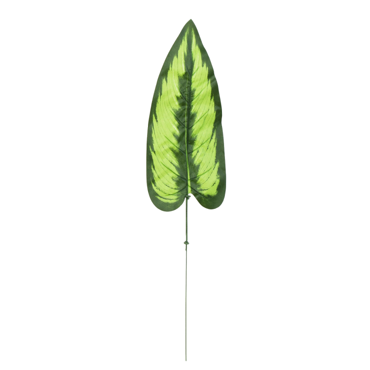 S680-01-01-Photoroom.png