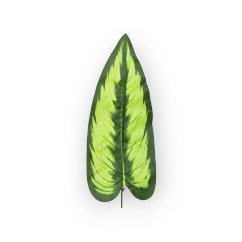 S680-01-02-scaled-1(1).png