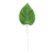 S682-01-01-Photoroom.png