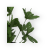 U21-01-02-1.png