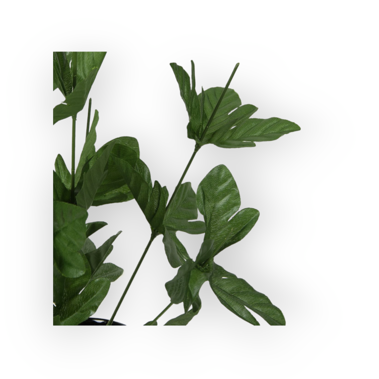 U21-01-02-1.png
