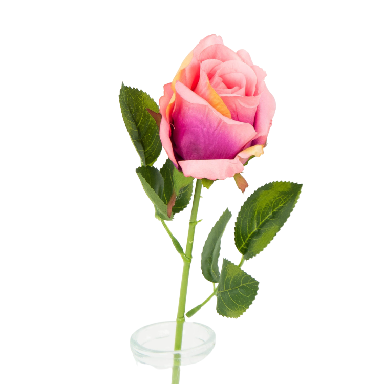 B08-234-03-Photoroom.png