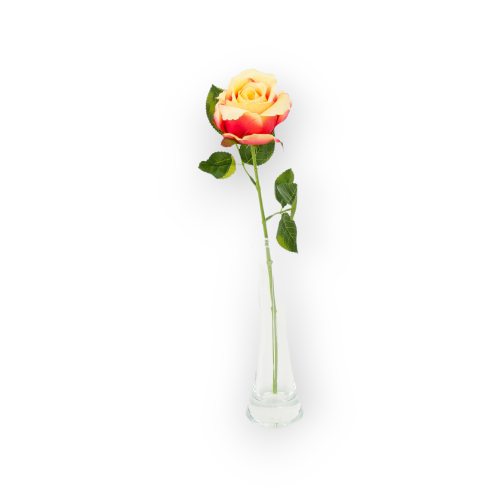 B08-229-02-3(1).png