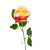 B08-229-03-Photoroom.png