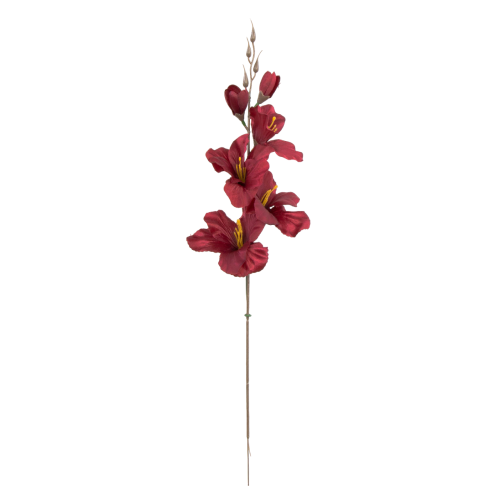 W183-52-01-Photoroom.png