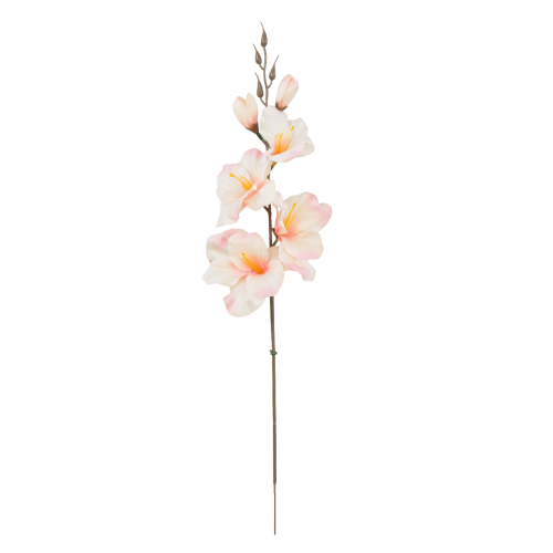 W183-53-01-Photoroom.png