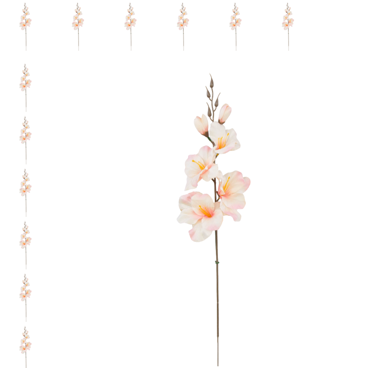 W183-53-01-Photoroom_12szt.png