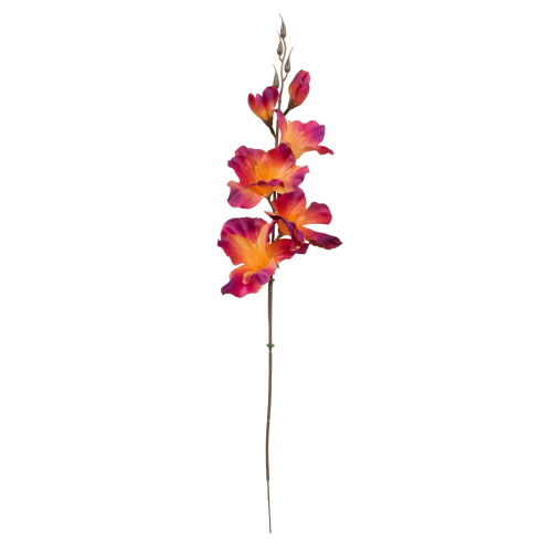 W183-54-01-Photoroom.png