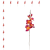 W183-54-01-Photoroom_12szt.png