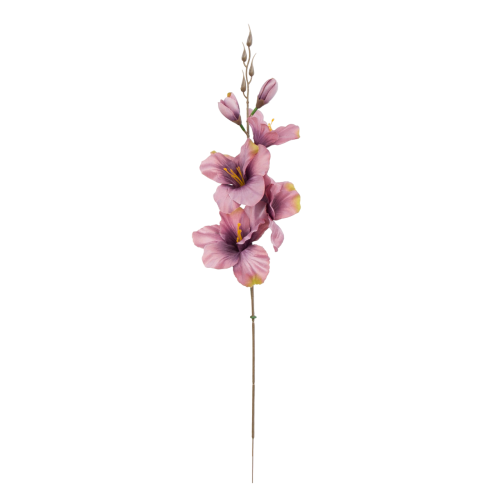 W183-58-01-Photoroom.png