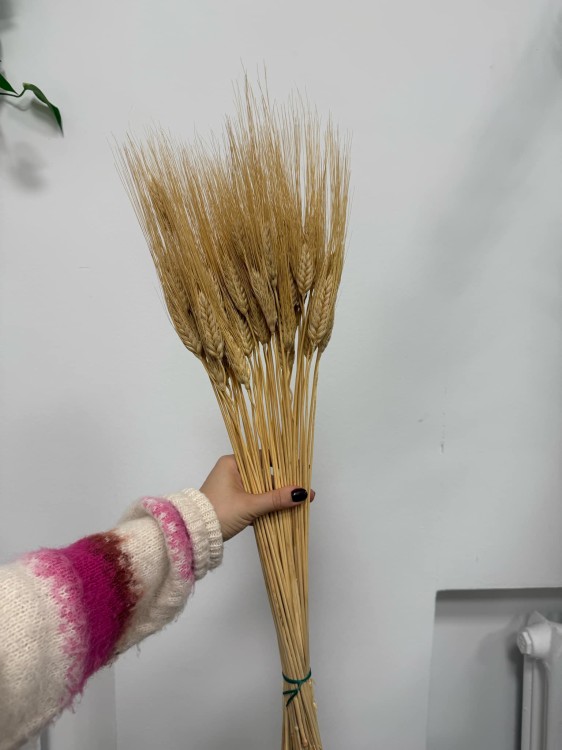 Pszenica Wąsata (Grano Baffo) Suszona - Naturalna (2).jpg
