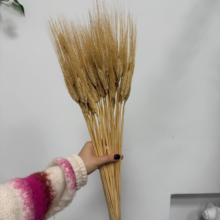 Pszenica Wąsata (Grano Baffo) Suszona - Naturalna (1).jpg