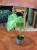Monstera deliciosa Thai Constellation (2).jpeg