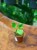 Pilea Mojito (7).jpeg