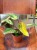 filodendron philodendron strawberry shake (3).jpeg