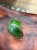 Hoya Bonii (4).jpeg
