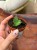Sansevieria Tower Gray (2).jpeg