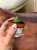 Sansevieria Tower Gray (6).jpeg