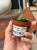 Sansevieria Tower Gray (1).jpeg