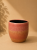 5d87977c-1111-469b-b134-109686c0f991.png
