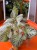 Episcia 'Tierra Menta'  Episcia cupreata (4).jpeg